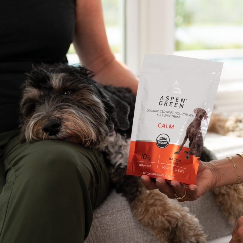 Aspen Green Calm CBD Dog Chews Pouch Next to Dog on Woman's Lap