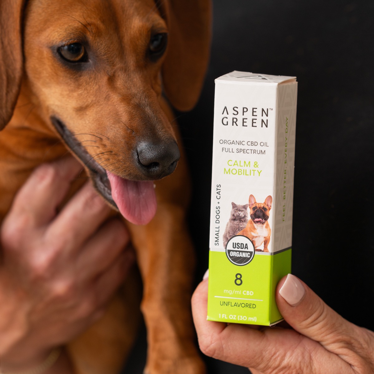 Aspen Green Small Dog Unflavored CBD Oil Box with Dachshund